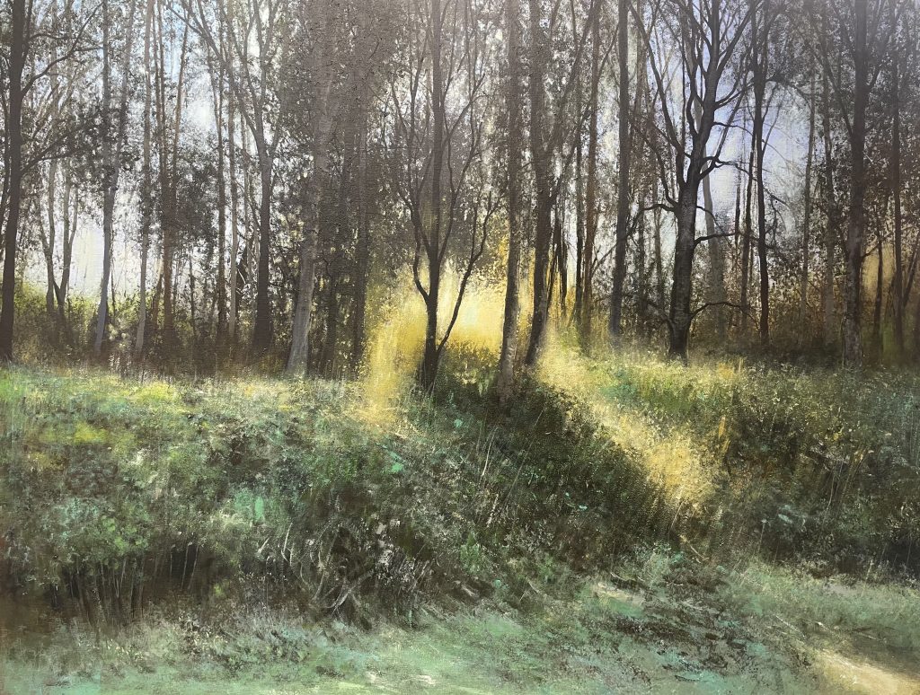 catch the light 77cm x 58cm x 1.2cm