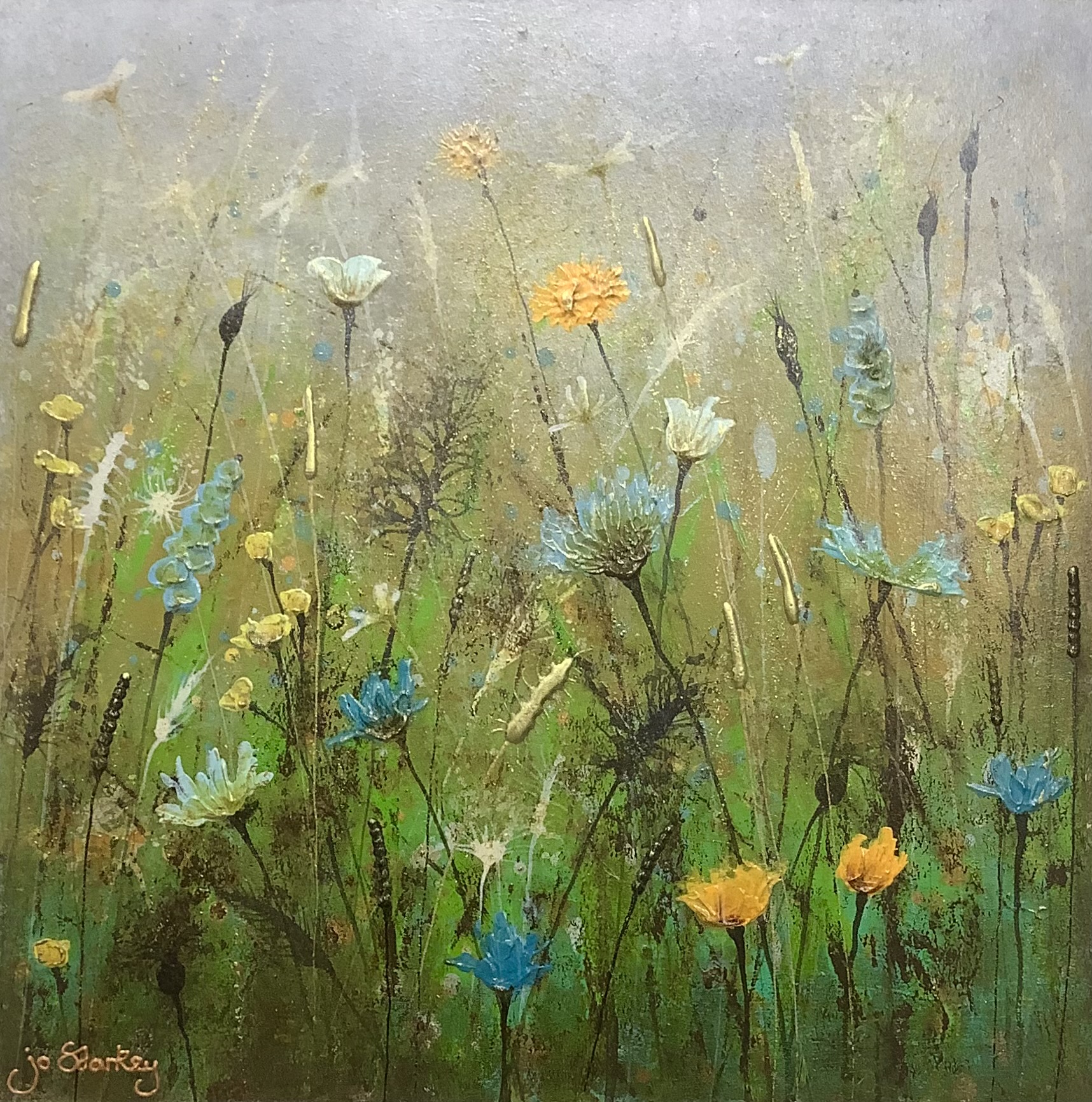'Veil of the Meadow'