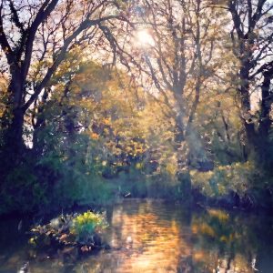 Seasonal Landscape Painting Course - AUGUST - Wednesday Mornings