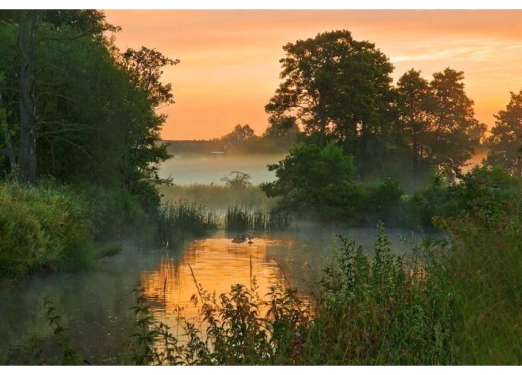 Full Afternoon Landscape - 15.08.26