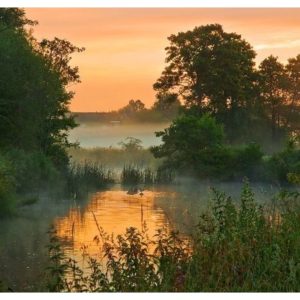 Full Afternoon Landscape Painting Workshop - Saturday, 15 August