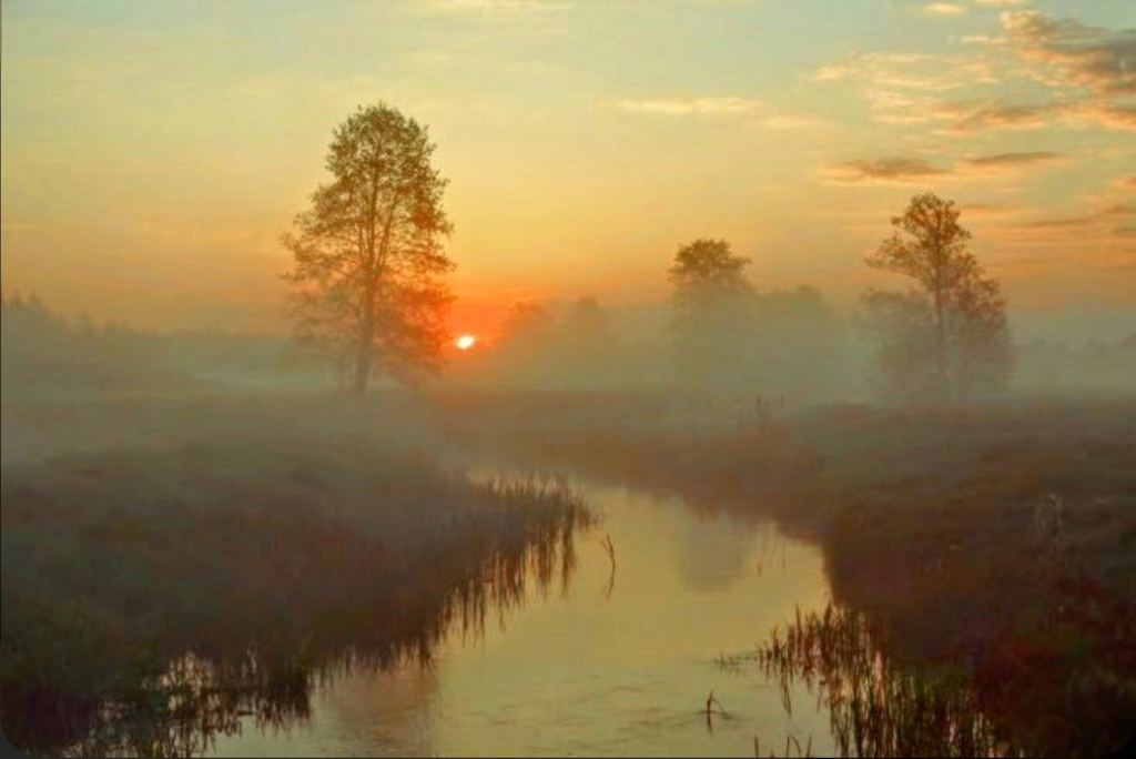 Full Afternoon Landscape - 10.10.26