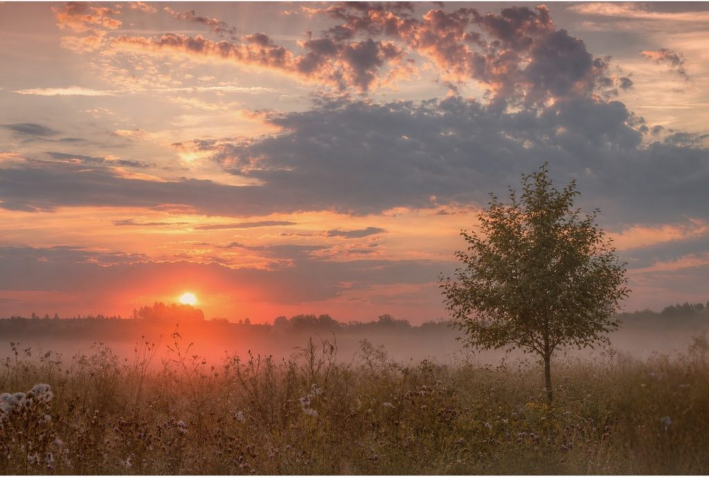 Full Day Landscape - 20.09.26