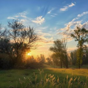 Seasonal Landscape Painting Course - SEPTEMBER - Tuesday Mornings