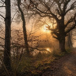 Seasonal Landscape Painting Course - DECEMBER - Tuesday Mornings