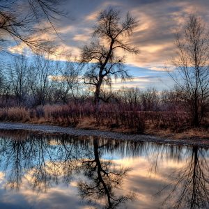Seasonal Landscape Painting Course - NOVEMBER - Tuesday Mornings