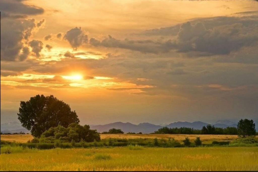 Full Afternoon Landscape - 07.11.26