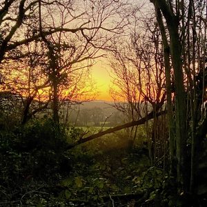 Full Day Landscape  - 29.11.26