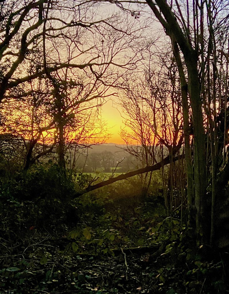 Full Day Landscape - 29.11.26