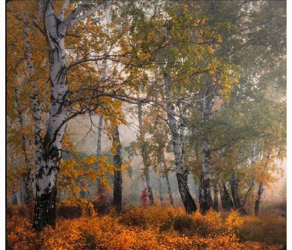 Full Day Landscape  - 29.11.26