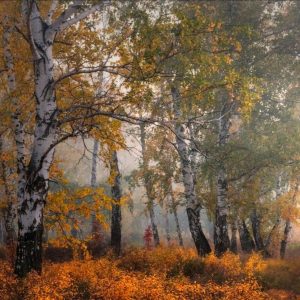 Full Day Landscape  - 29.11.26