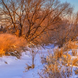 Full Day Landscape  - 21.02.27