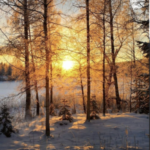 Full Day Landscape - 24.01.26