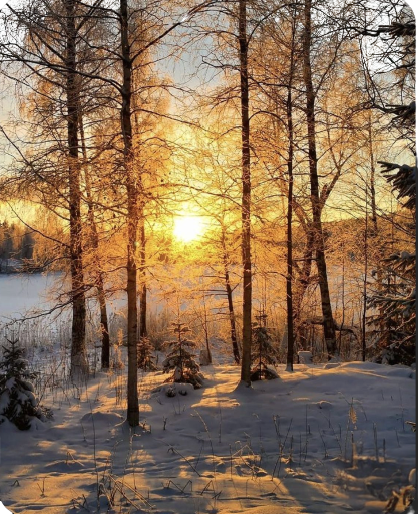 Full Day Landscape  - 24.01.26