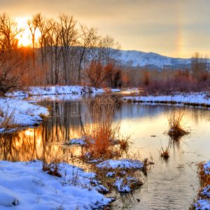 Seasonal Landscape Painting Course - JANUARY - Fri Mornings