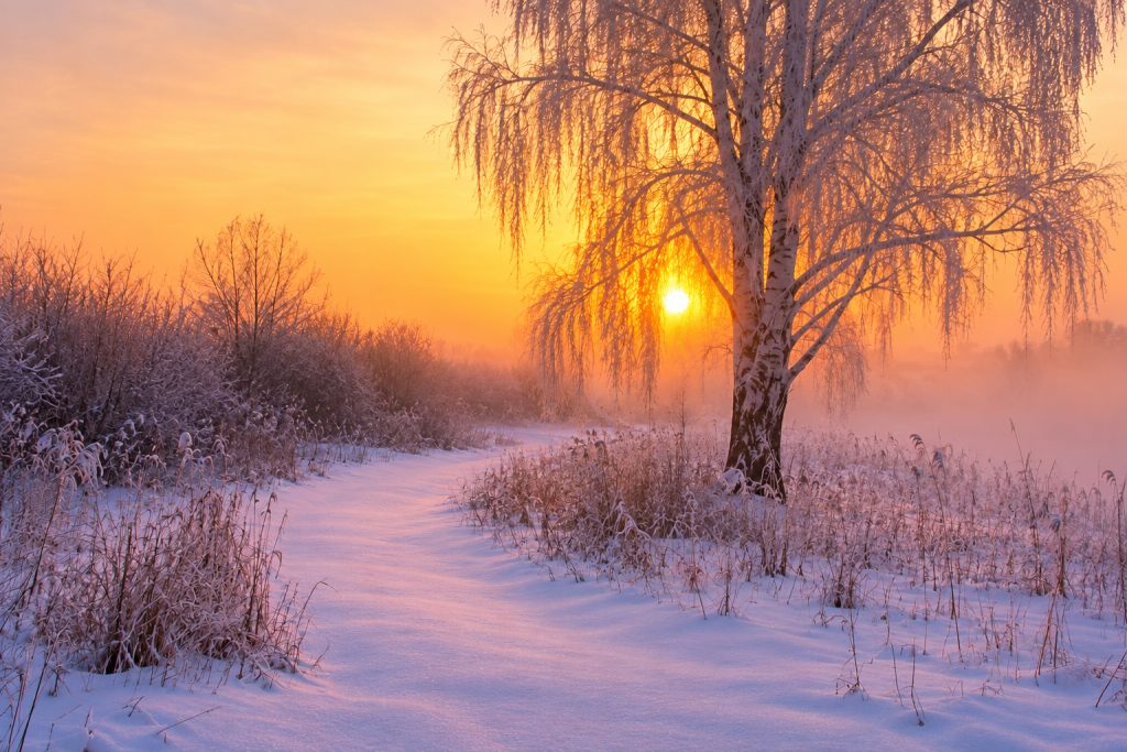 Full Afternoon Landscape  - 12.12.26
