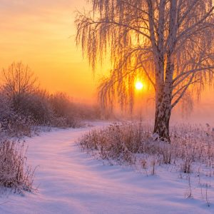 Full Afternoon Landscape  - 12.12.26